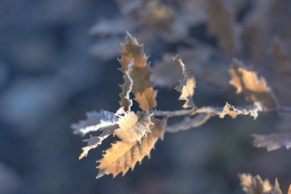 Photograph by Beatriz Calderón Alonso
