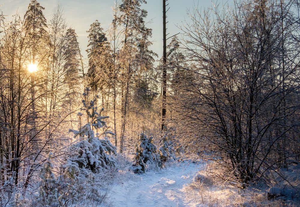 Photograph by Вера Рябинина