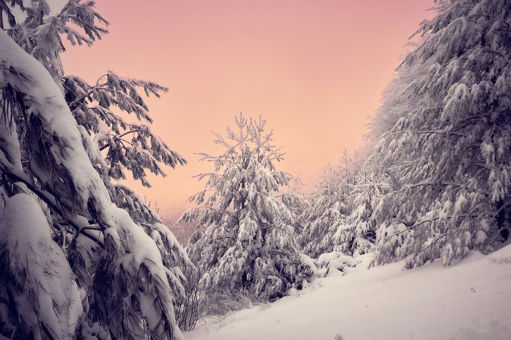 Photograph by Beatriz Calderón Alonso