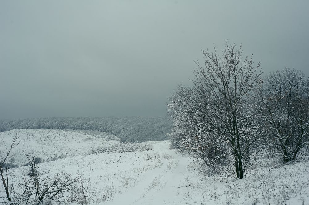 Photograph by Тамара Козлова