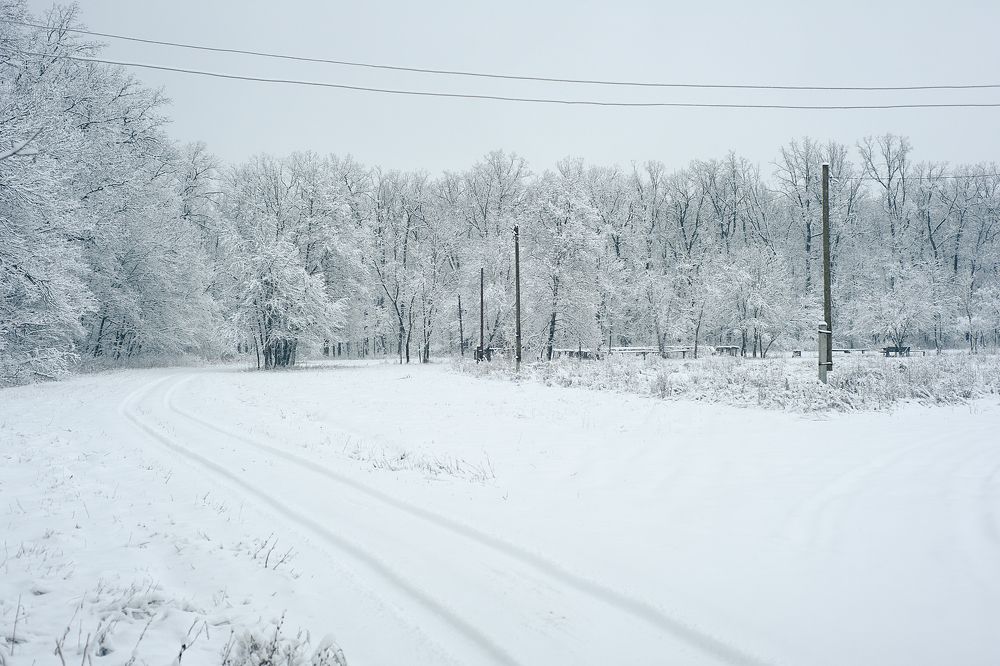 Photograph by Тамара Козлова