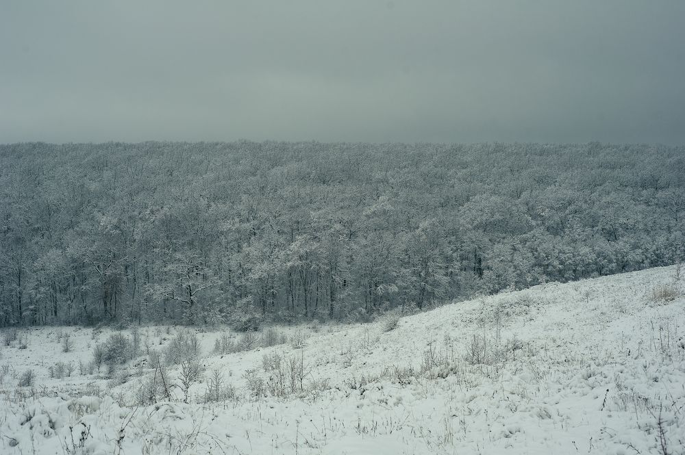 Photograph by Тамара Козлова