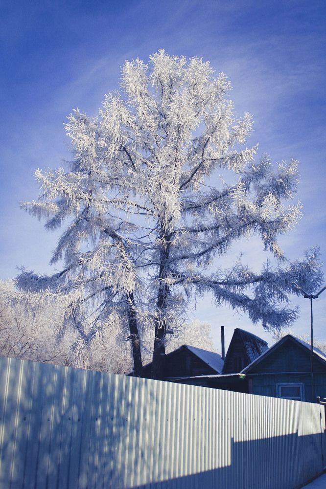 Photograph by Андрей Астафьев