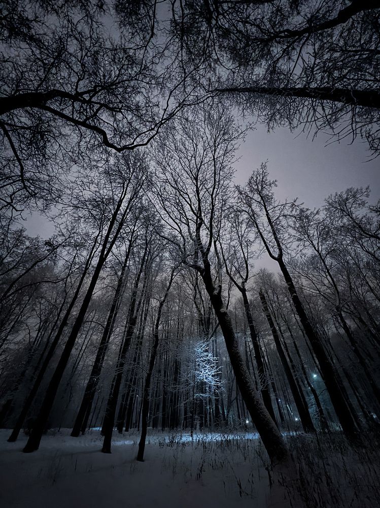 Обращаясь к свету