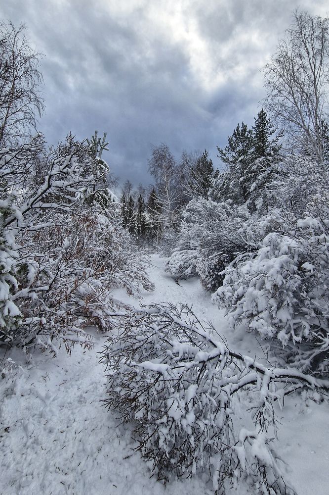 Photograph by Ксения Горленко