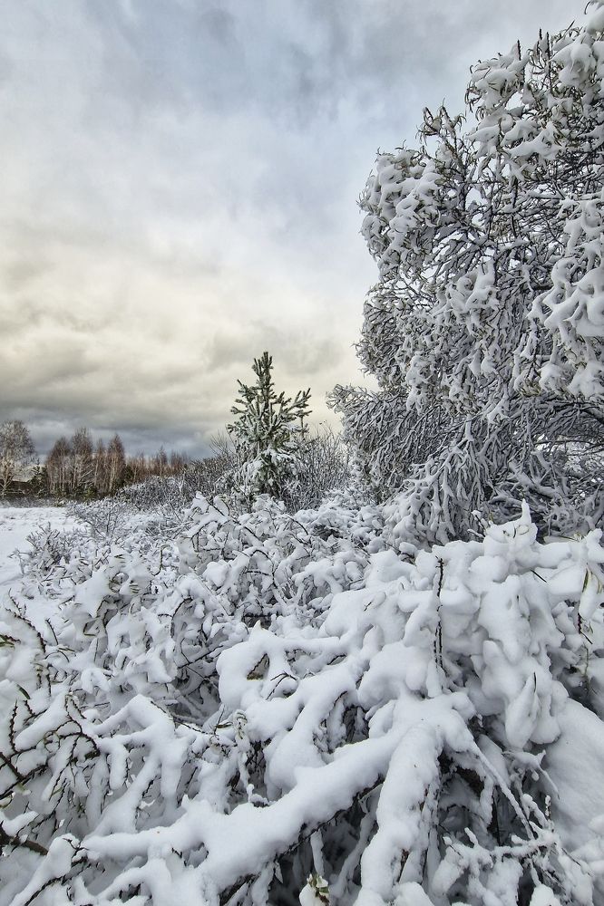 Photograph by Ксения Горленко