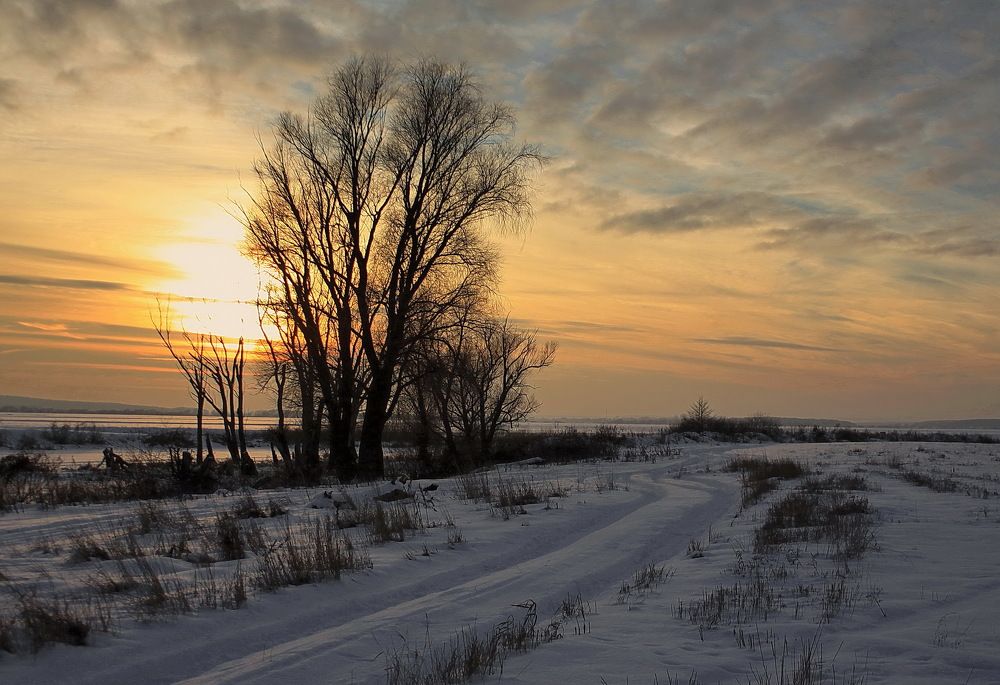 Фотография автора Панюшкин Владислав Владимирович