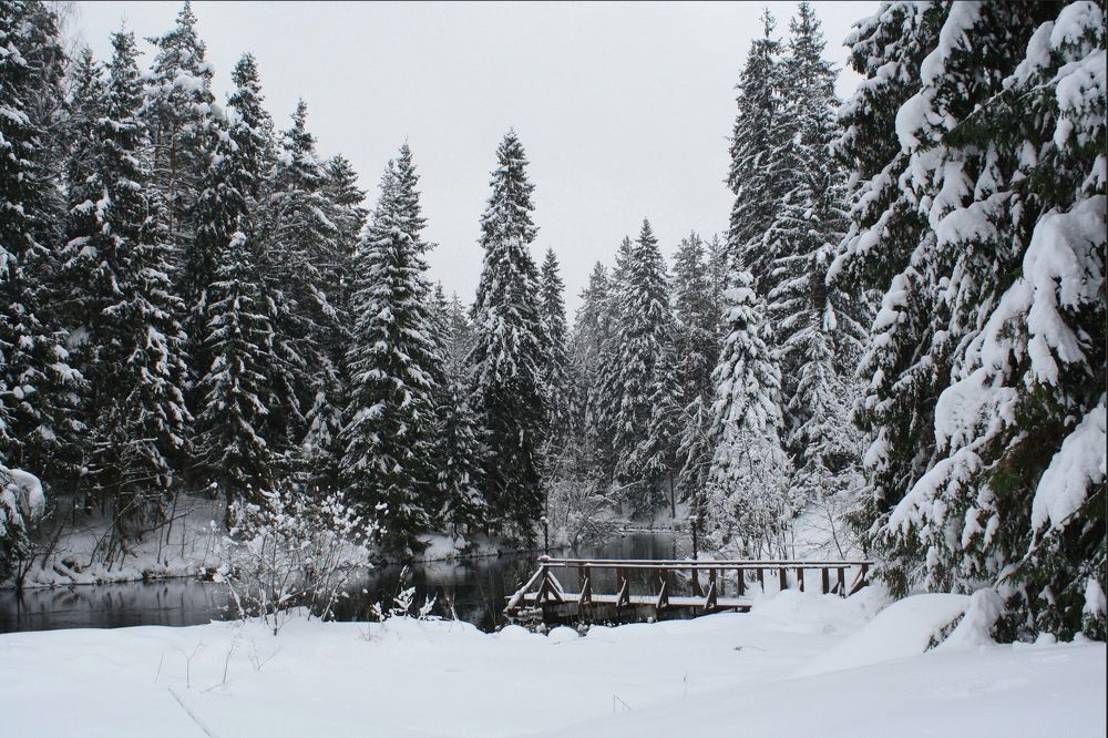 У реки Валдайки