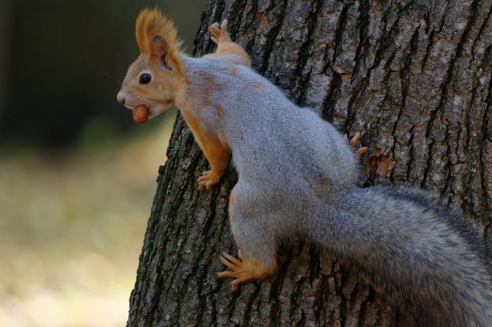 Photograph by Dimitriy Anikin