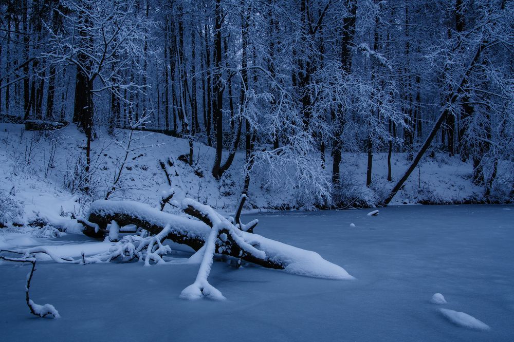 Photograph by Роман Паньков