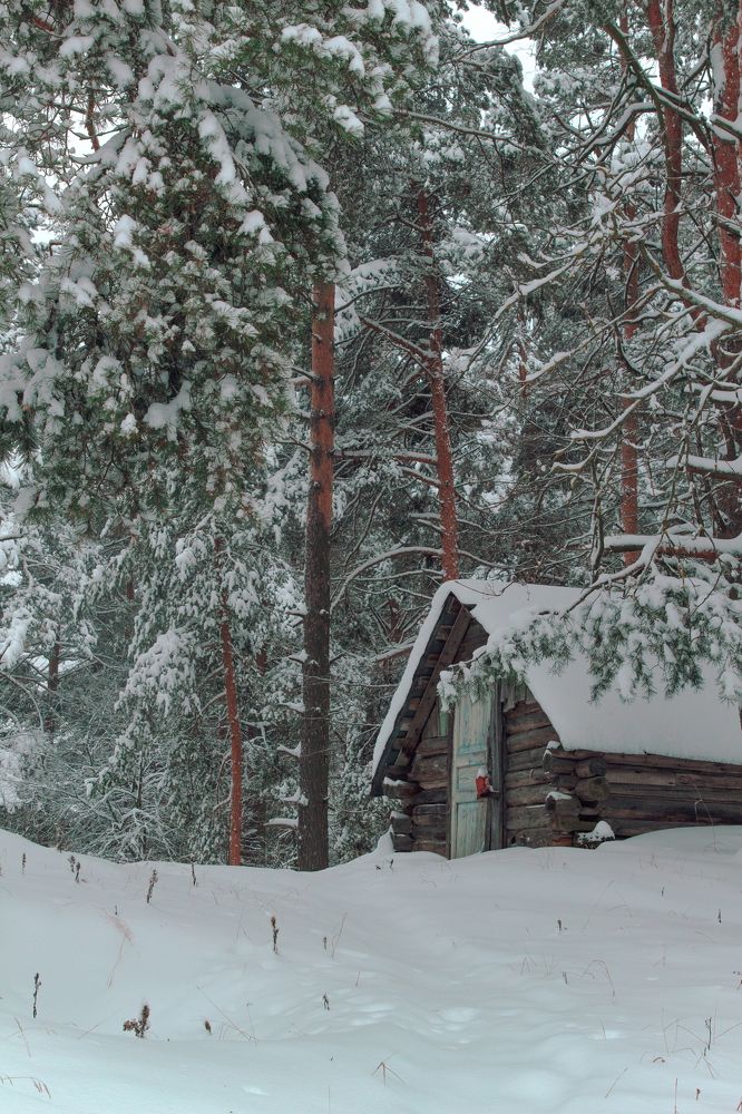 Photograph by Ангелина Карелина