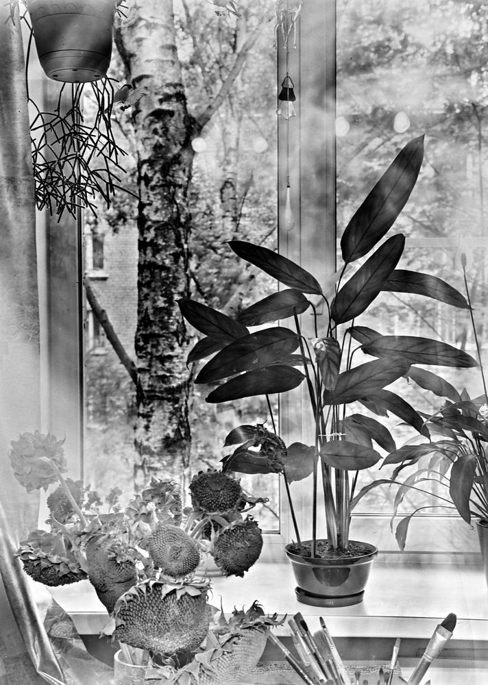 Брызги света.