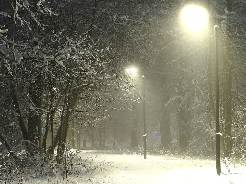 Photograph by Елена Харитонова