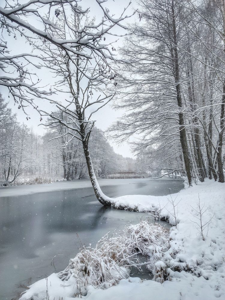 Photograph by Владимир Шаруба