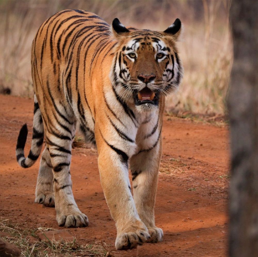 Photograph by Omkar Deshpande