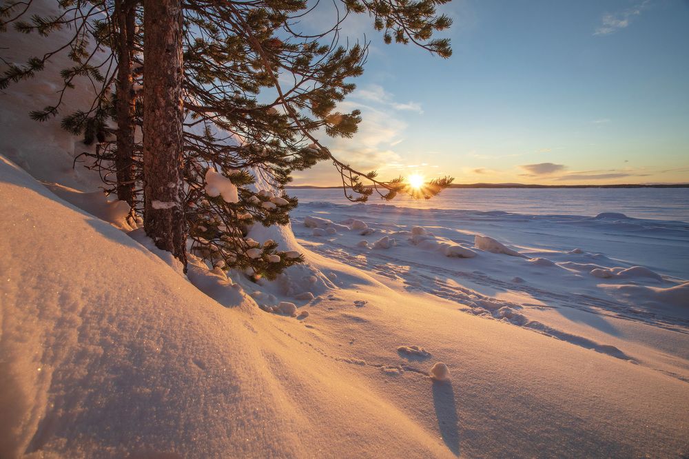 Photograph by Марина Александрова