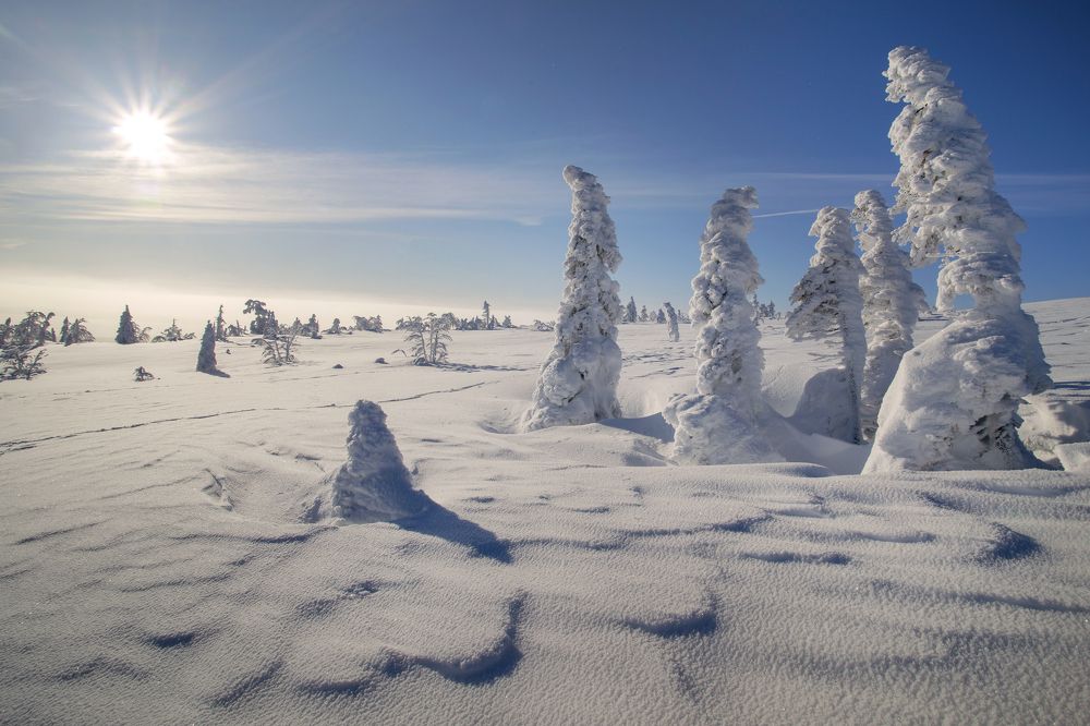 Photograph by Марина Александрова
