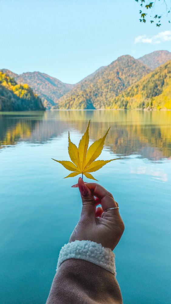 Photograph by Александр Устинов