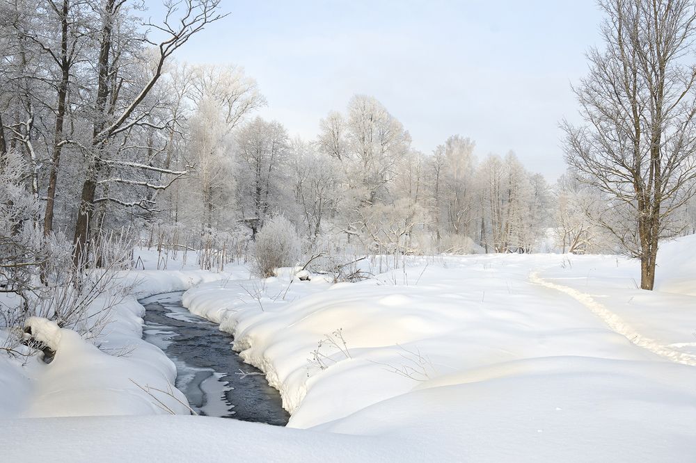 Photograph by Viktor Korotnev