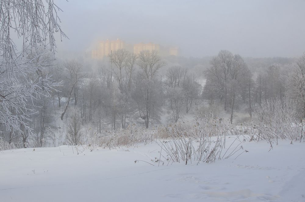 Photograph by Viktor Korotnev