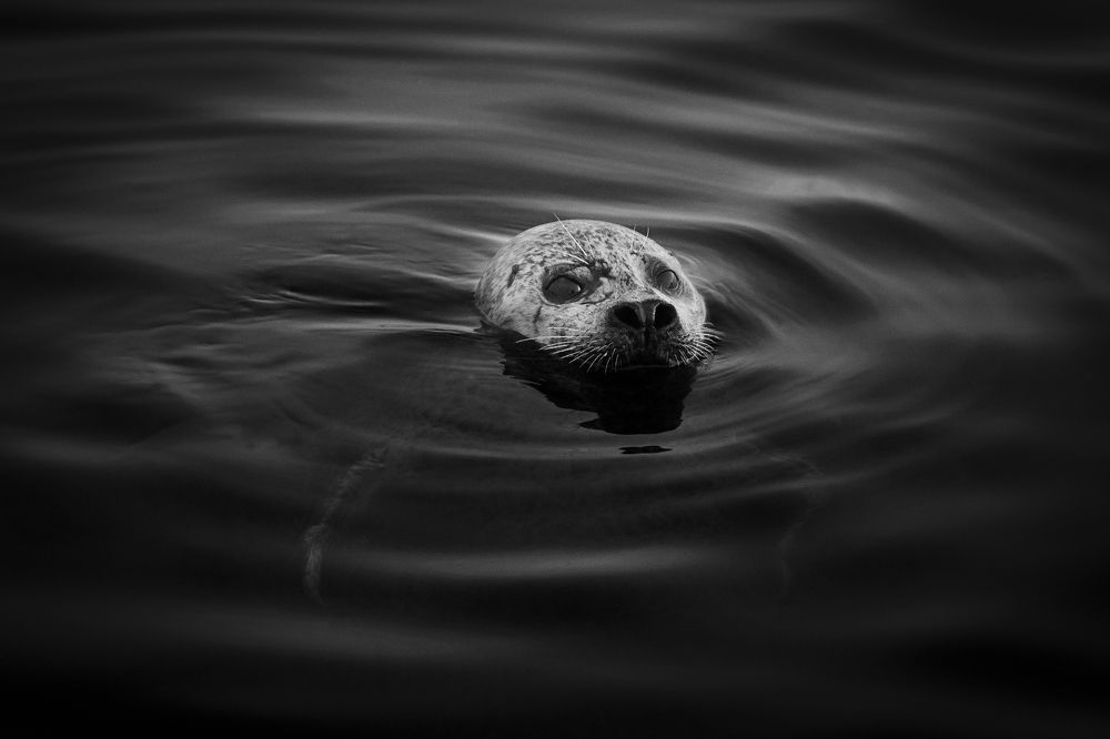 Photograph by Марина Александрова