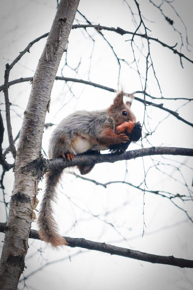 Photograph by Марина Александрова