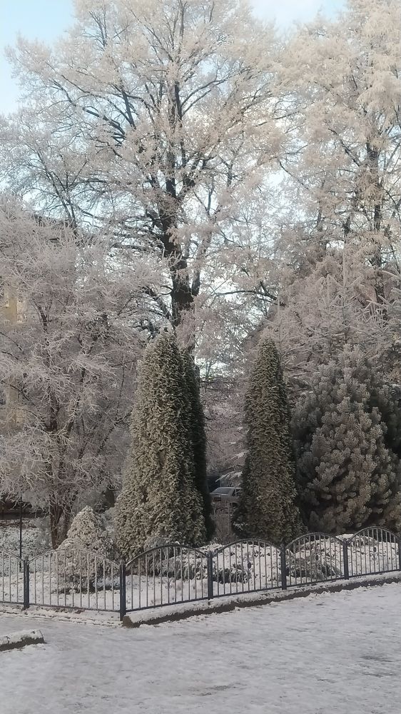 Photograph by Evgesha K