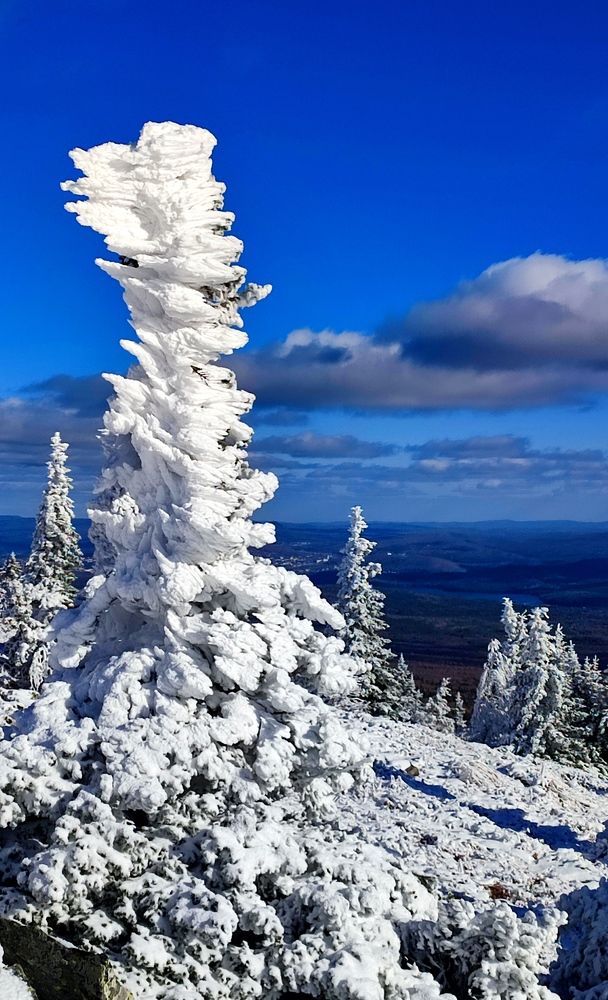 Photograph by Юлия Гинтер