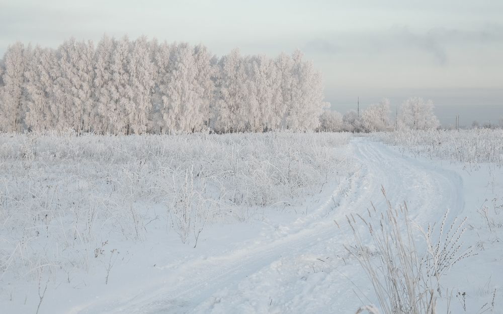 Photograph by Svetlana Karnauh Карнаух