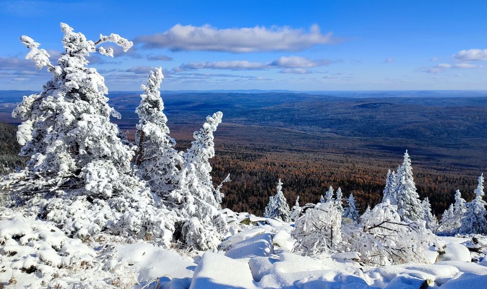 Photograph by Юлия Гинтер