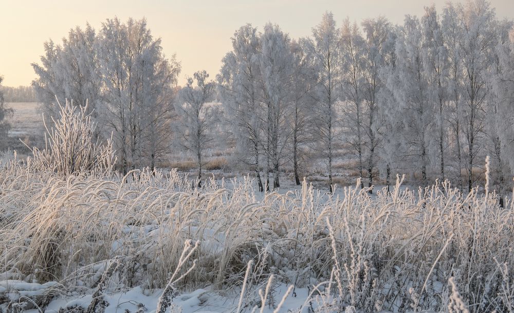Photograph by Svetlana Karnauh Карнаух