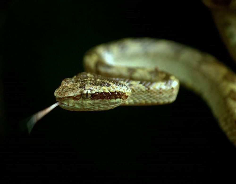 Photograph by Omkar Deshpande