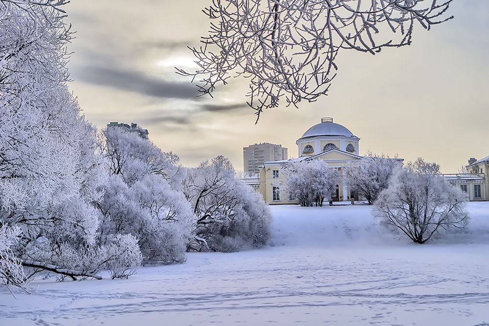 Photograph by Елена Белькова