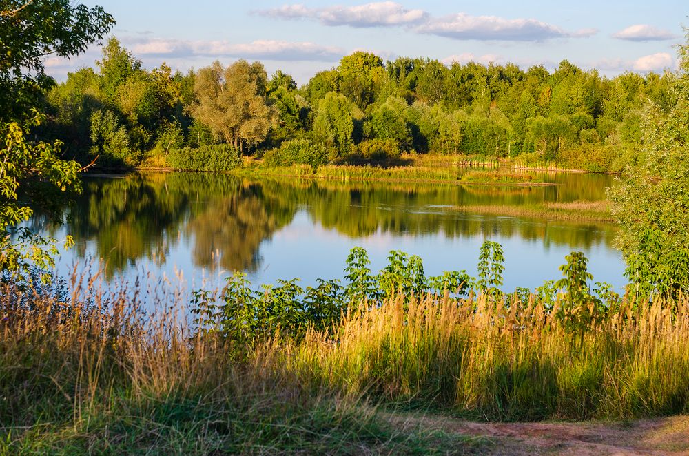 Photograph by Viktor Korotnev