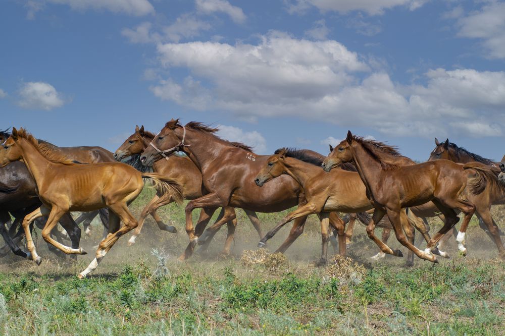 Photograph by Дзись Оксана