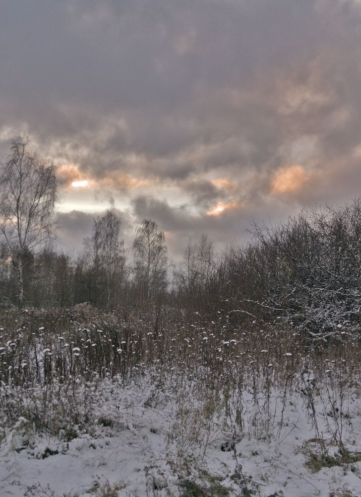 Photograph by Светлана Гонская