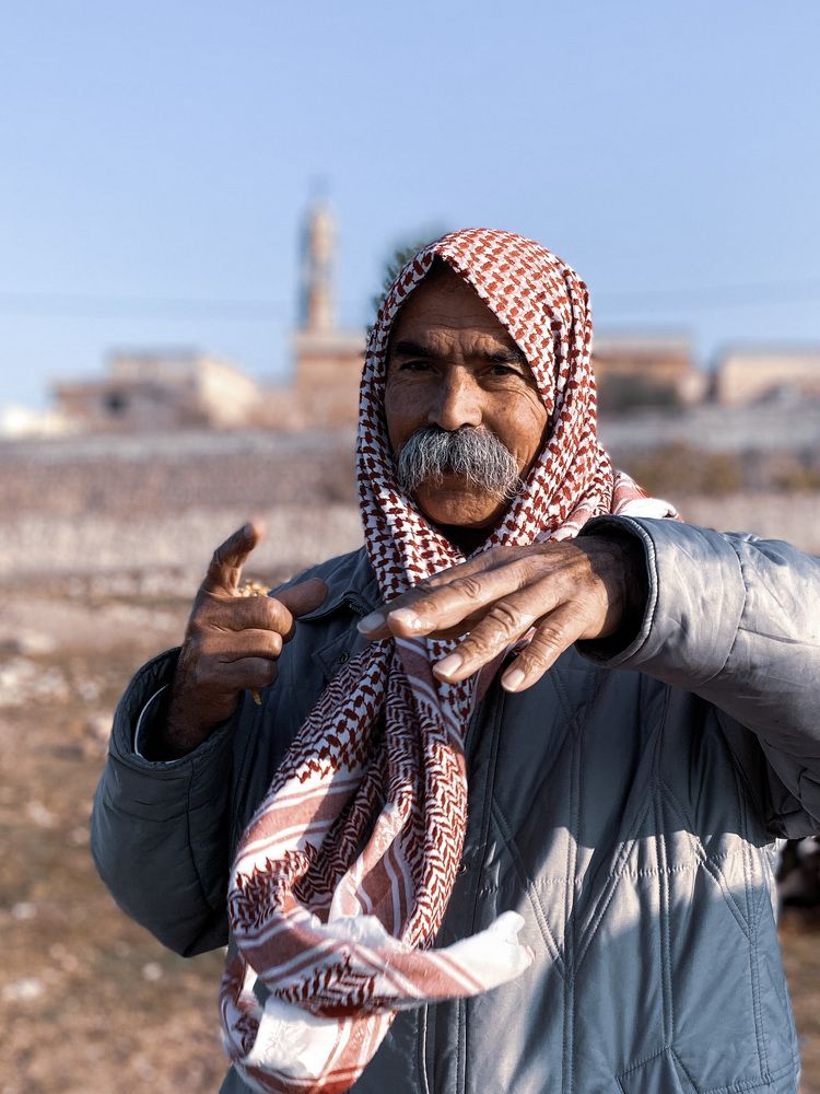 Photograph by Елена Данилова