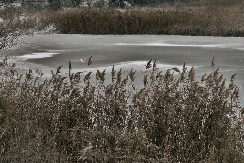 Photograph by Светлана Гонская
