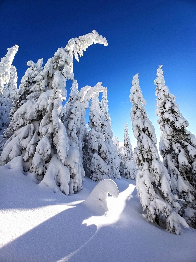 Колыбельная