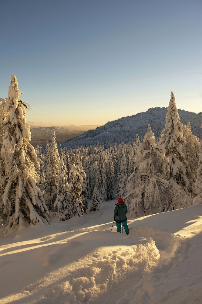 Фотография автора Надежда Павлова