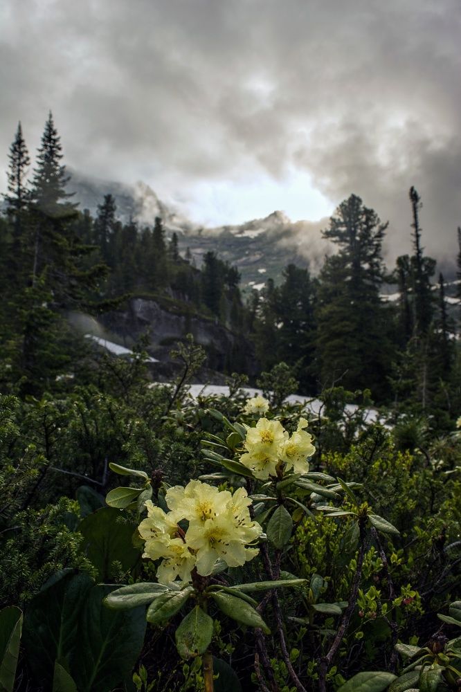 Фотография автора Надежда Павлова