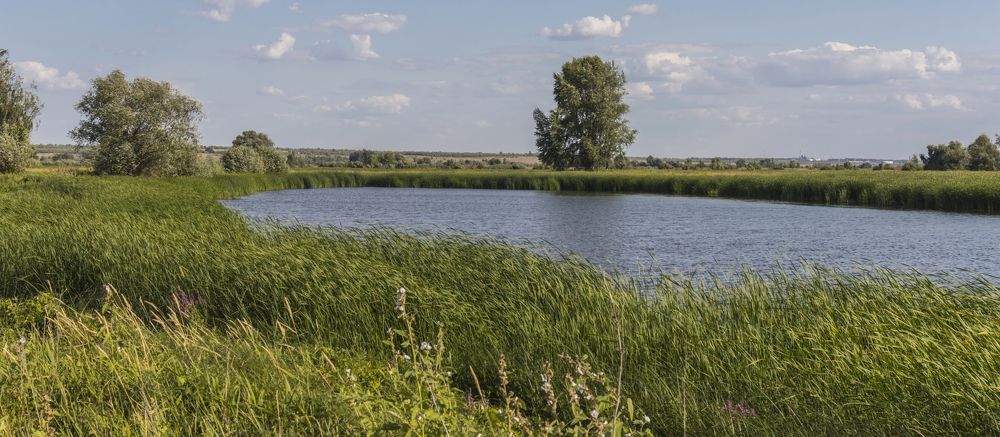 Photograph by Sergey Paramonov