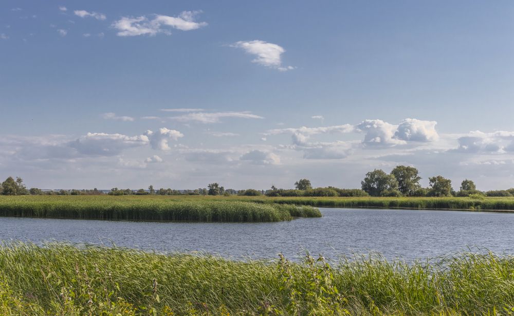 Photograph by Sergey Paramonov