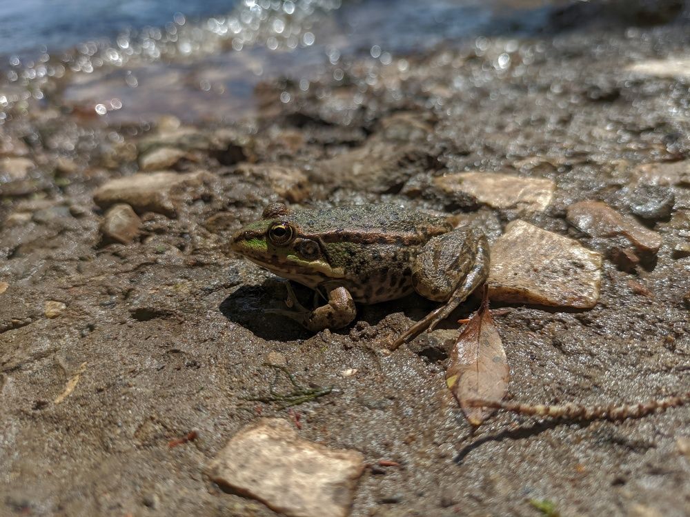 Photograph by Dimitriy Anikin