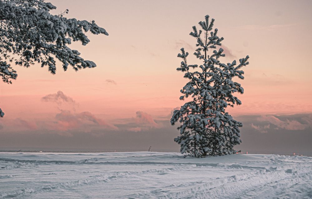 Photograph by Александр Безуглый