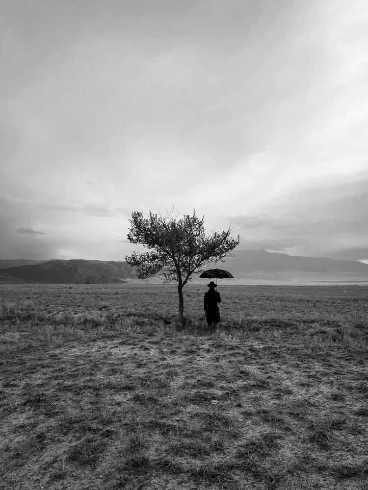 Photograph by Елена Данилова