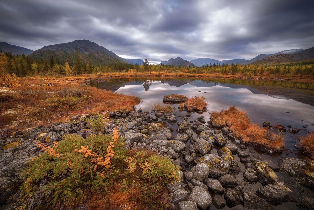 Photograph by Марина Мурашова