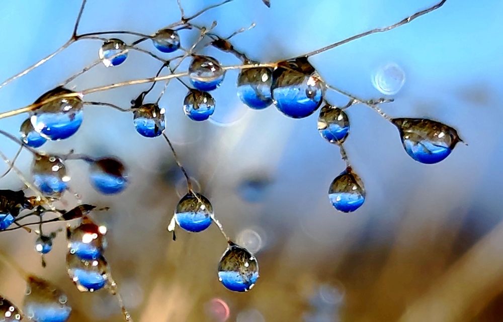 Photograph by Инна Макарчук