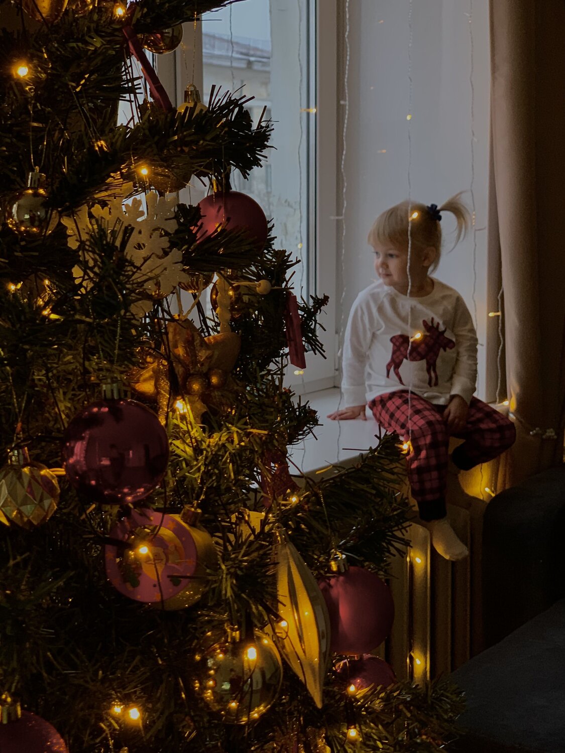 Photo #8489420