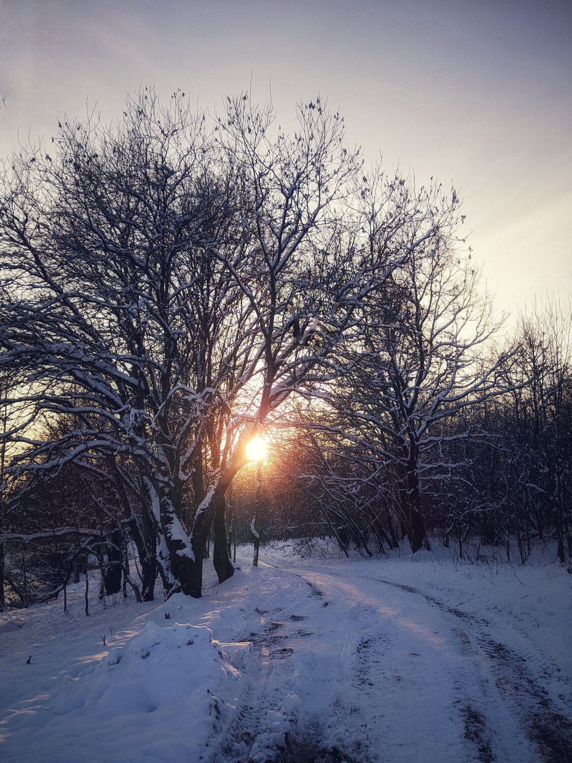 Дорога к свету